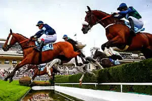 Steeple-Chase